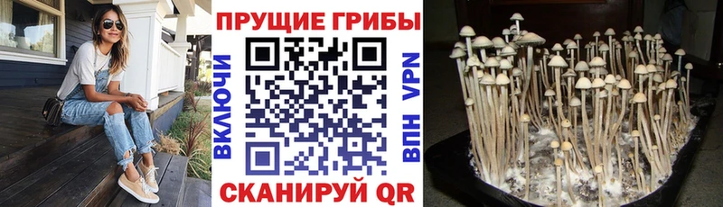 Псилоцибиновые грибы прущие грибы  блэк спрут ONION  Нижние Серги 
